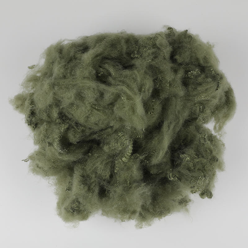 Leger Greenwool Spinnende Polyester Stapelvezel 3D×64mm